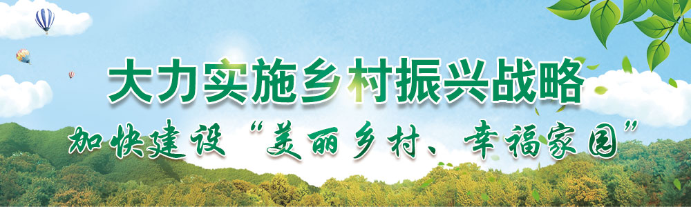 大力實施鄉村振興戰略